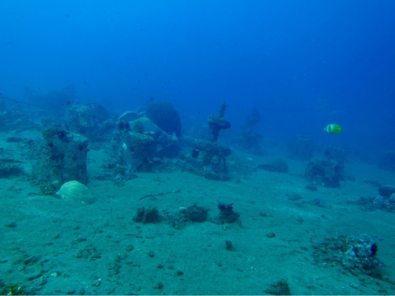 Divesite Image