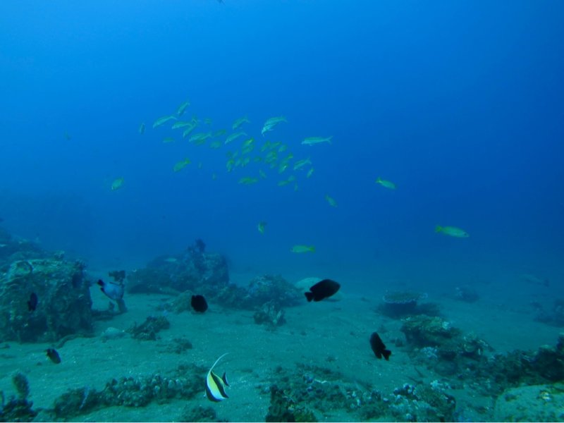Divesite Image