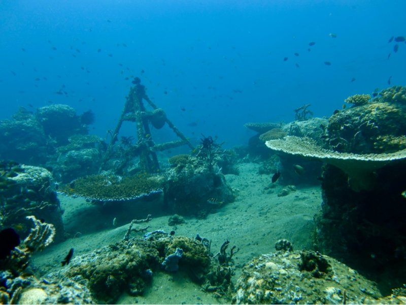 Divesite Image