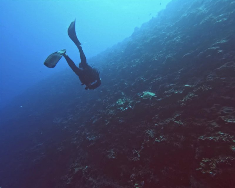 Divesite Image