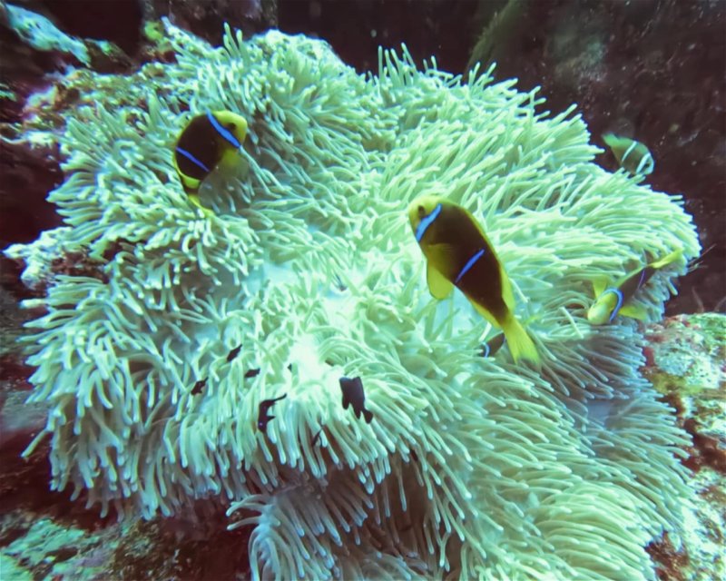 Divesite Image
