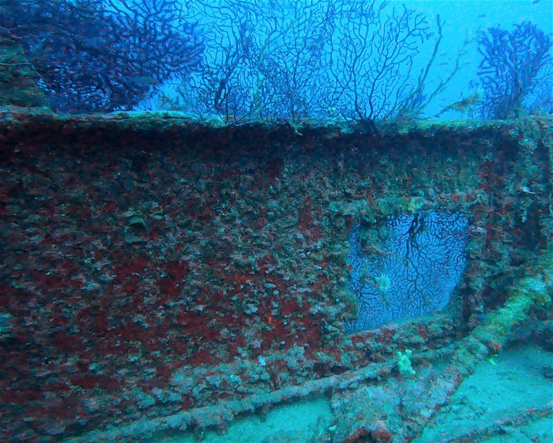 Divesite Image