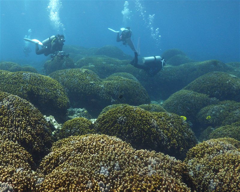 Divesite Image