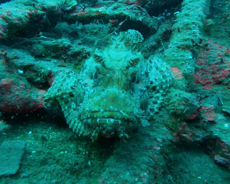 Divesite Image