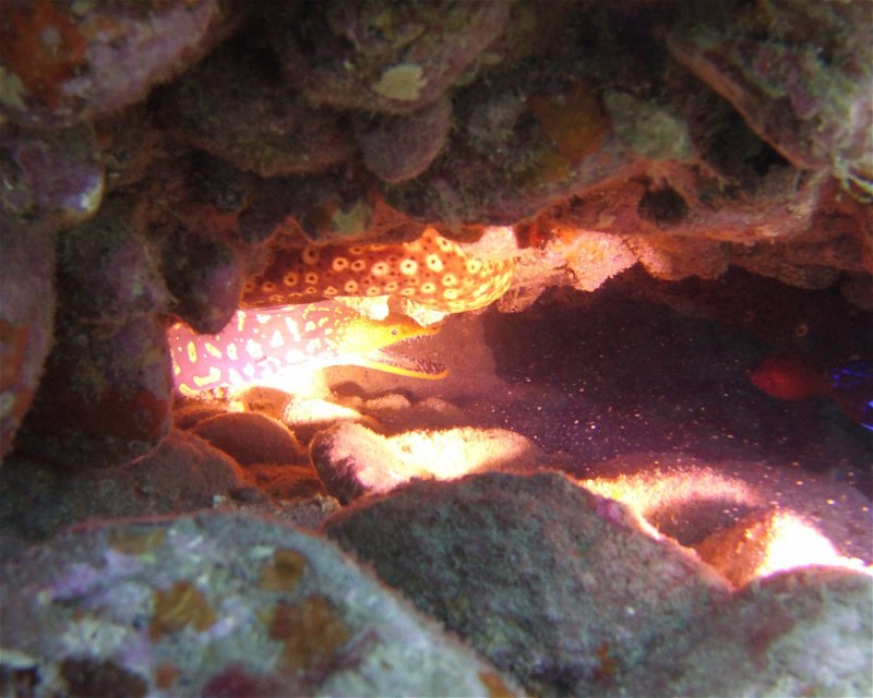 Divesite Image