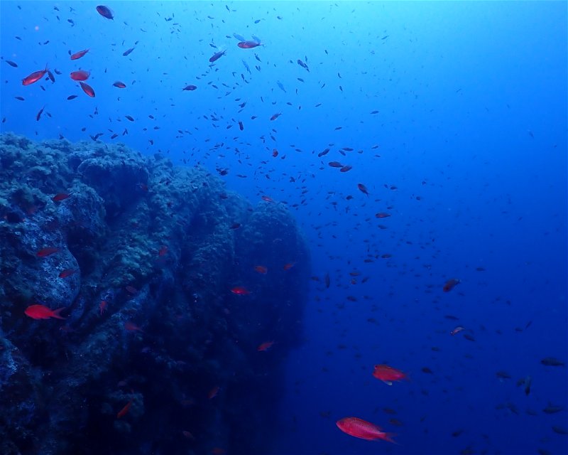 Divesite Image