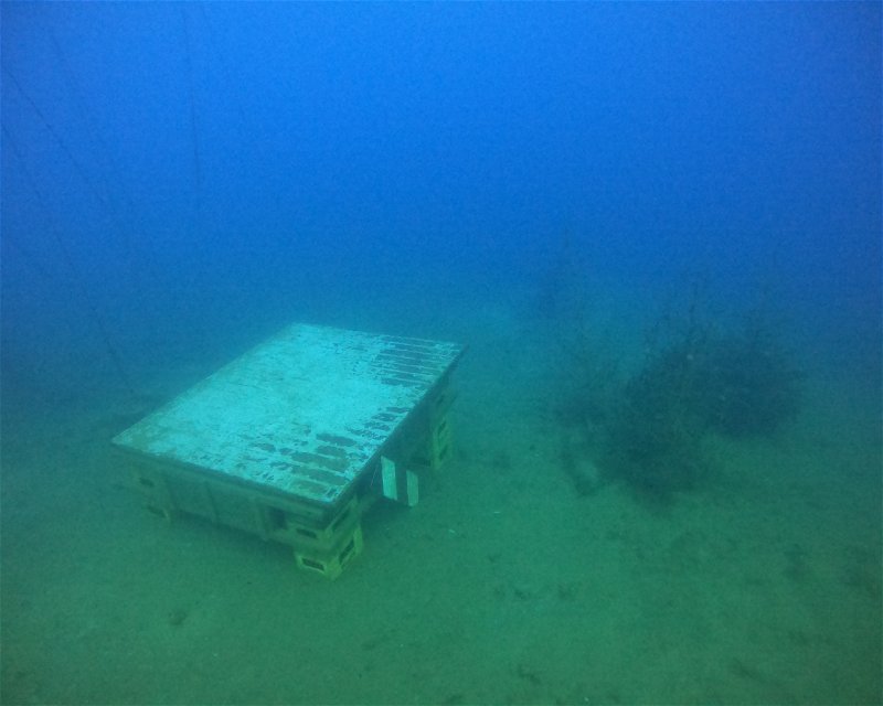 Divesite Image