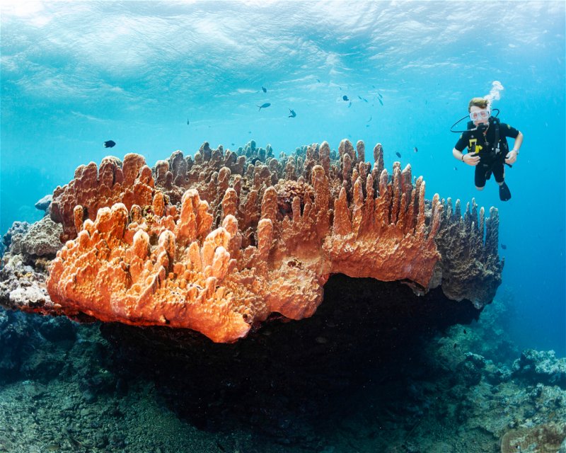 Divesite Image