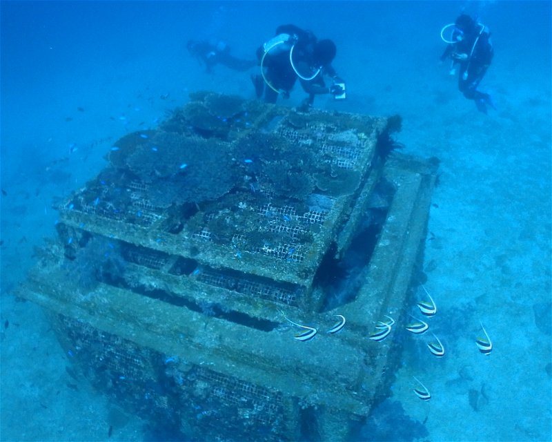 Divesite Image