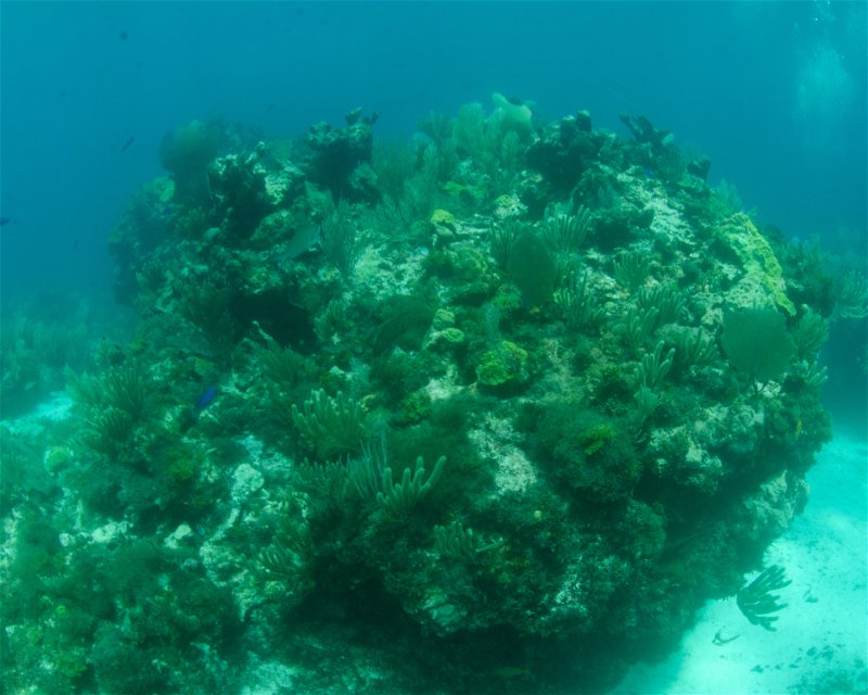 Divesite Image