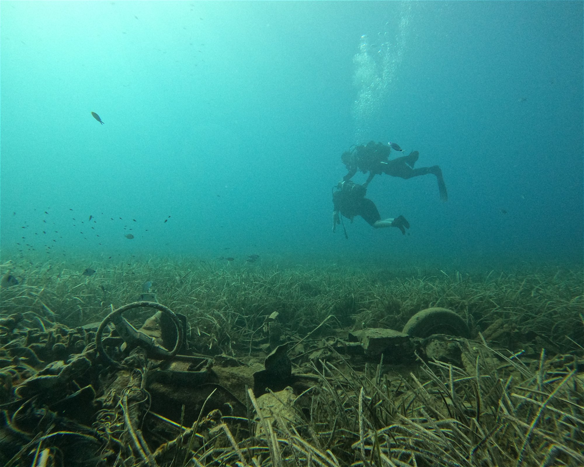Diving Center Pongo, 22202 Primosten