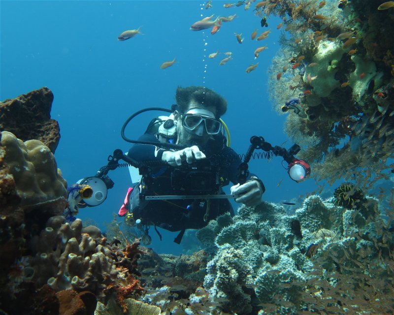 Divesite Image