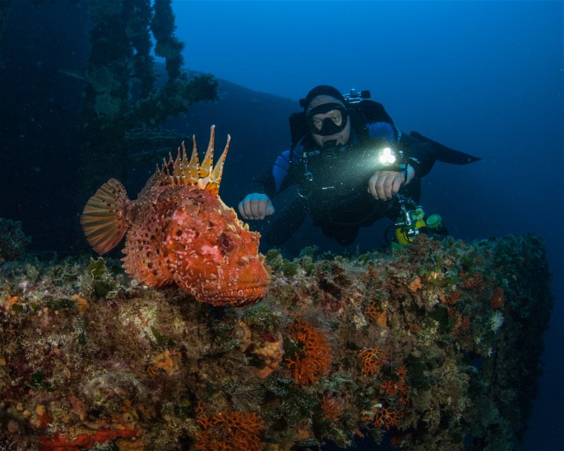 Divesite Image