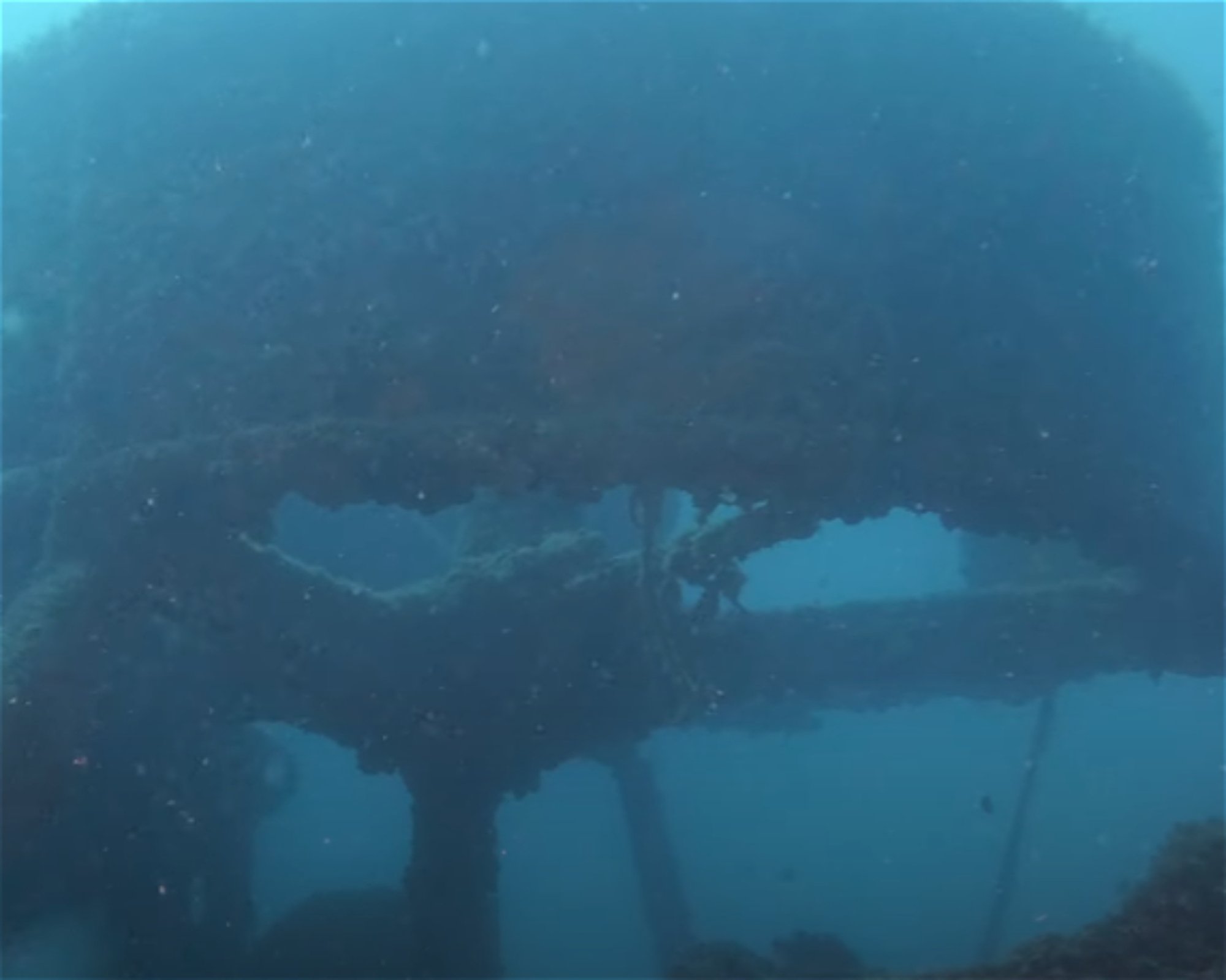 MASSUB DIVING CENTER - PORTOFINO, 16033 LAVAGNA