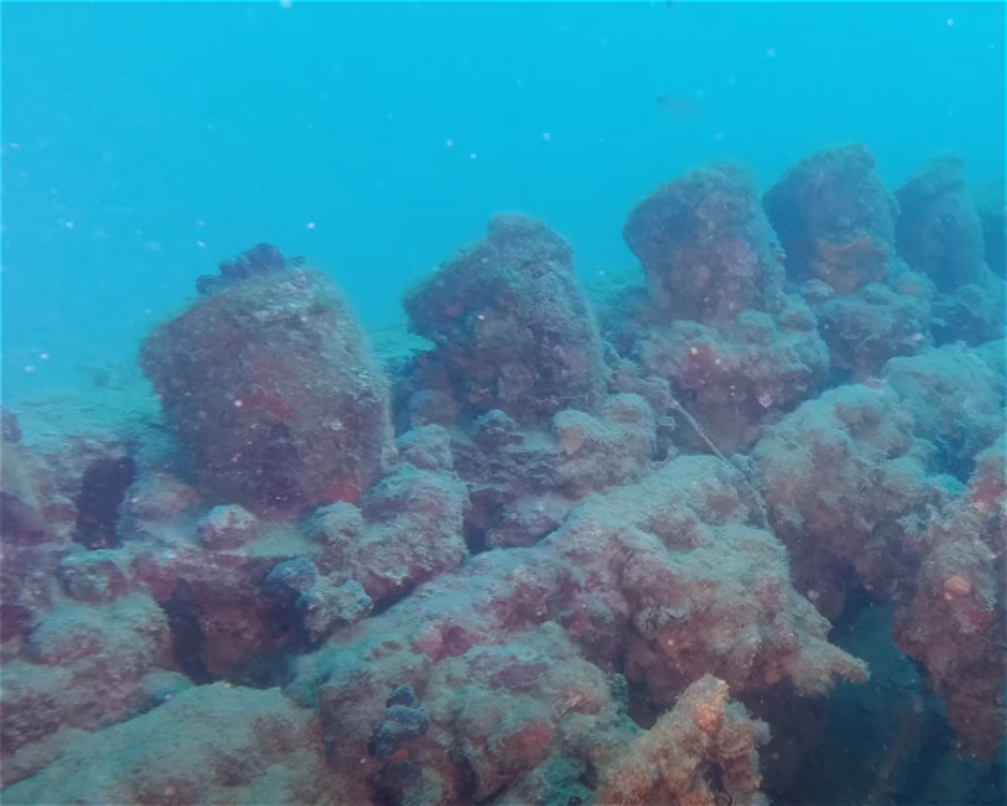 MASSUB DIVING CENTER - PORTOFINO, 16033 LAVAGNA