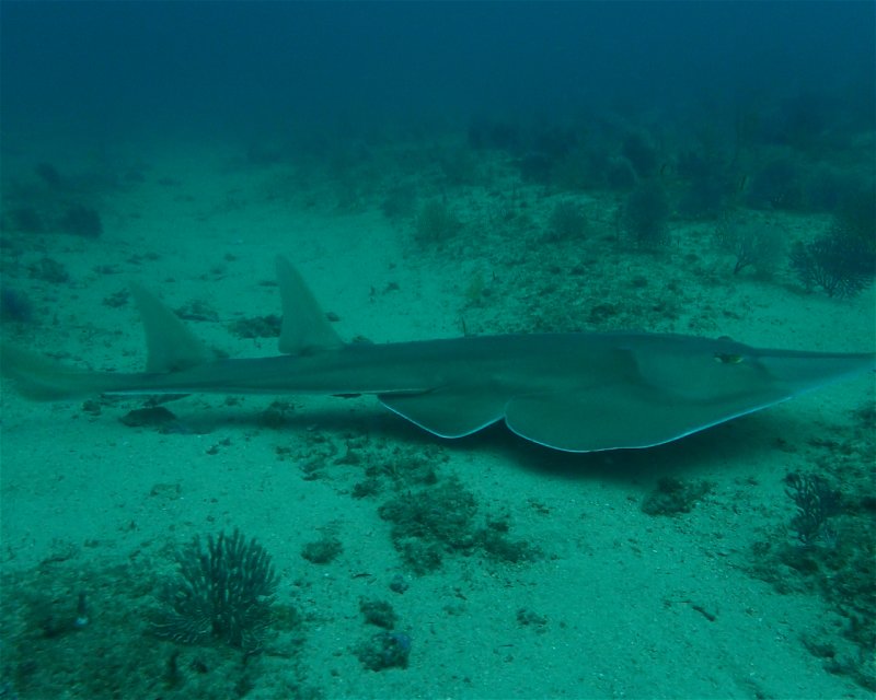 Divesite Image