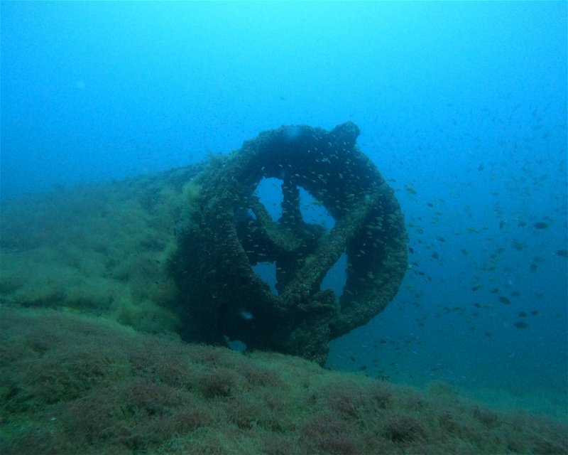 Divesite Image