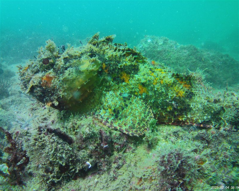 Divesite Image