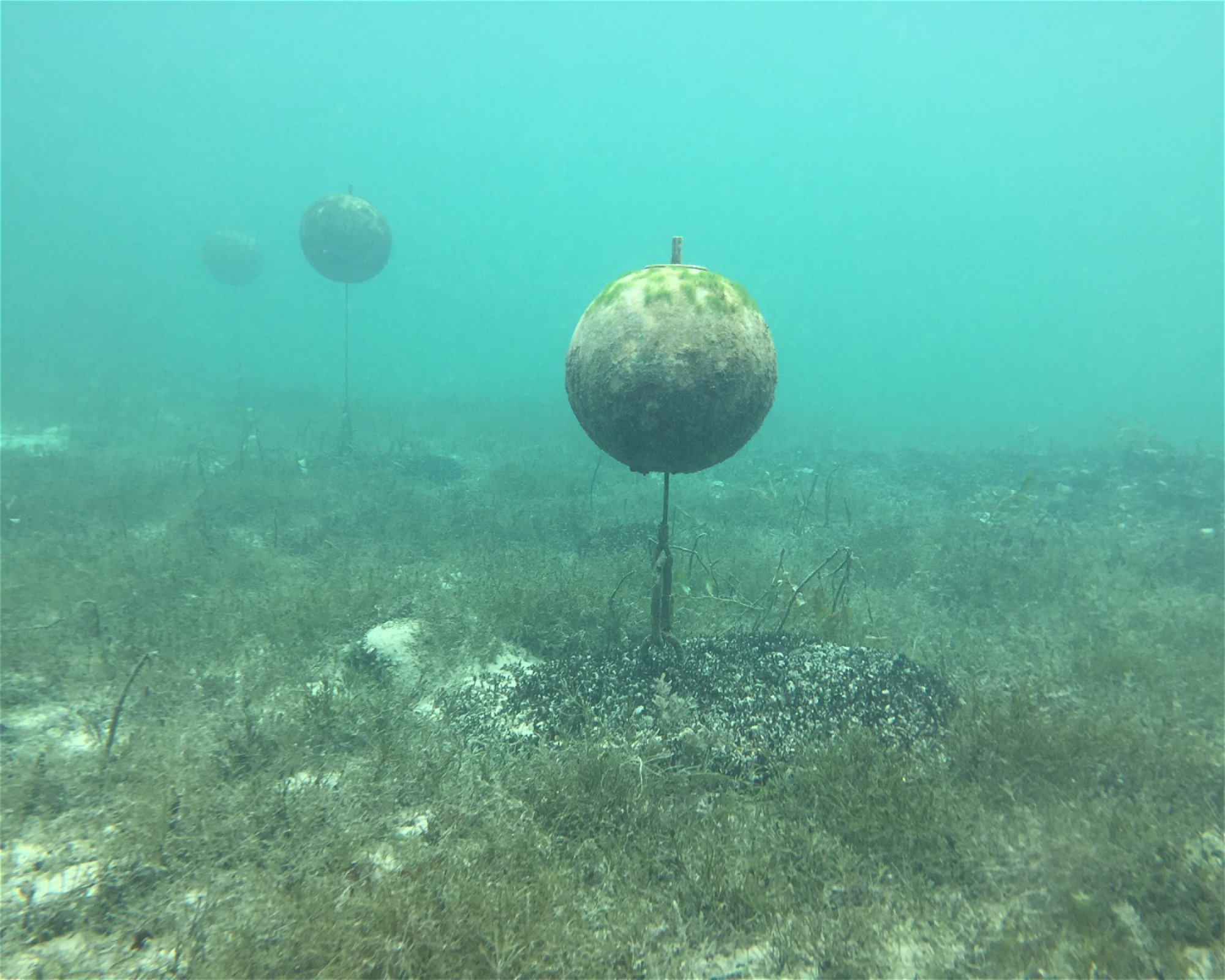 About Diving, 2560 Nidau