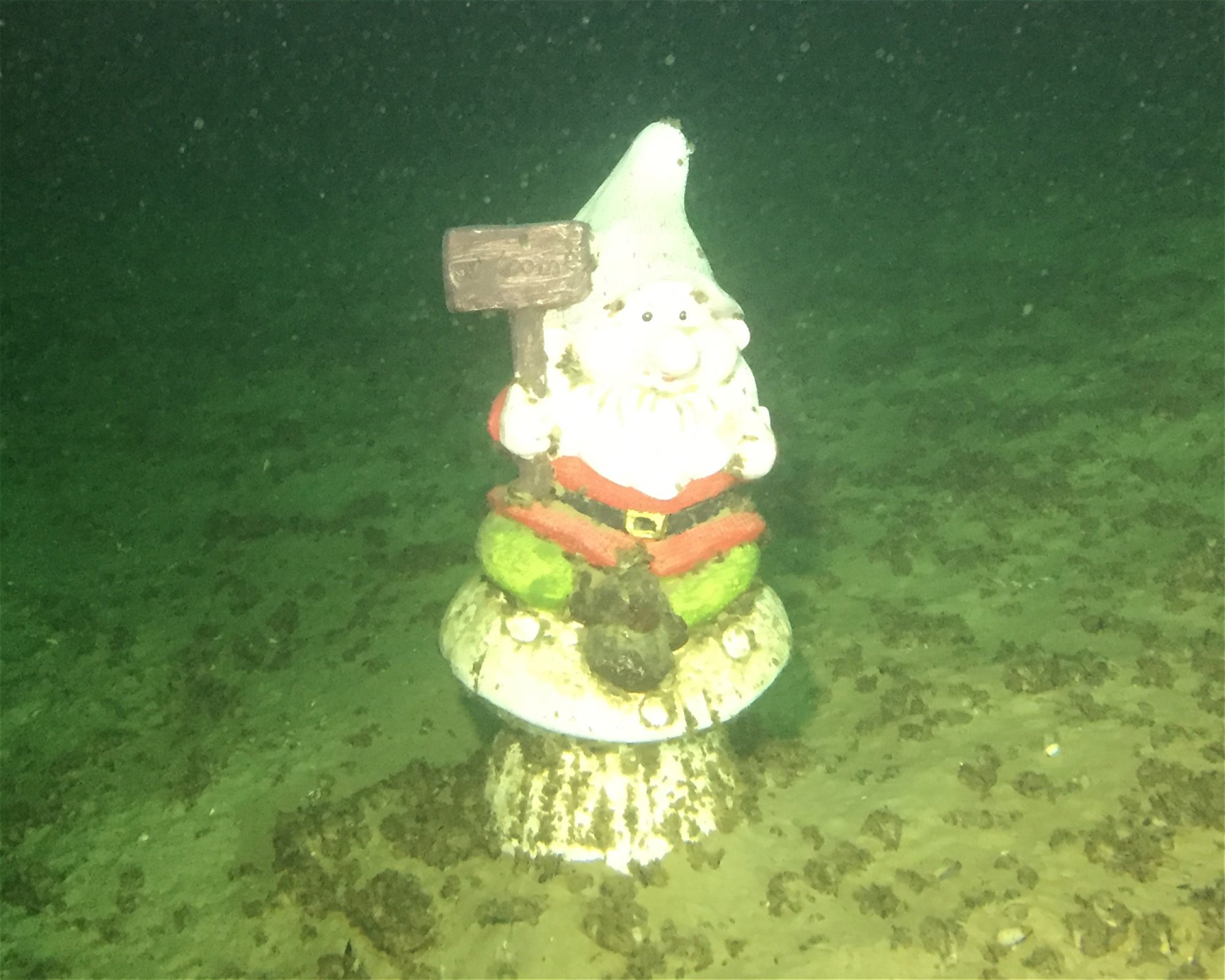 About Diving, 2560 Nidau