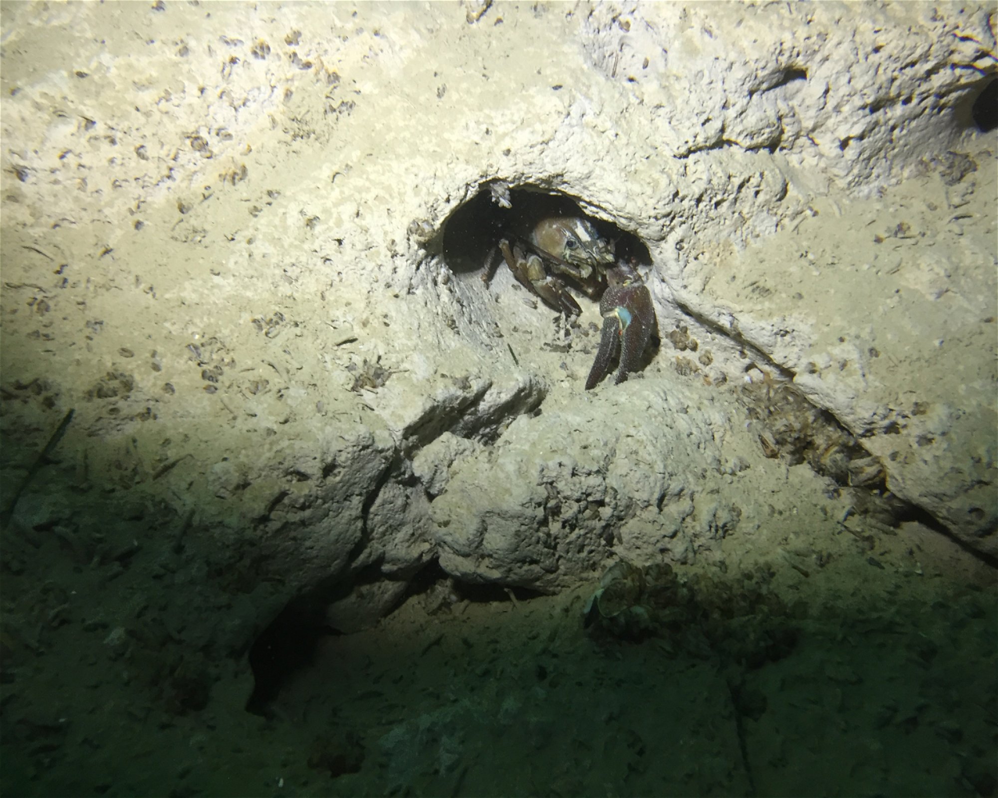 About Diving, 2560 Nidau