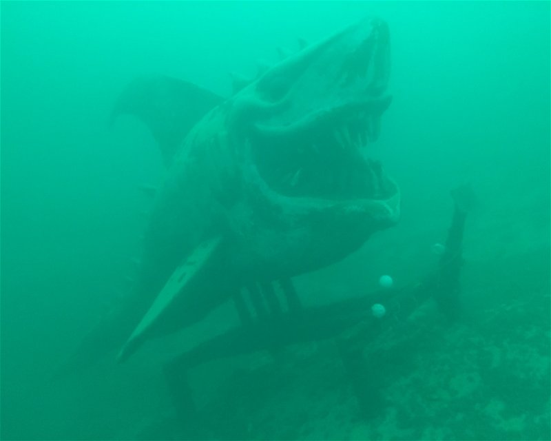 Divesite Image