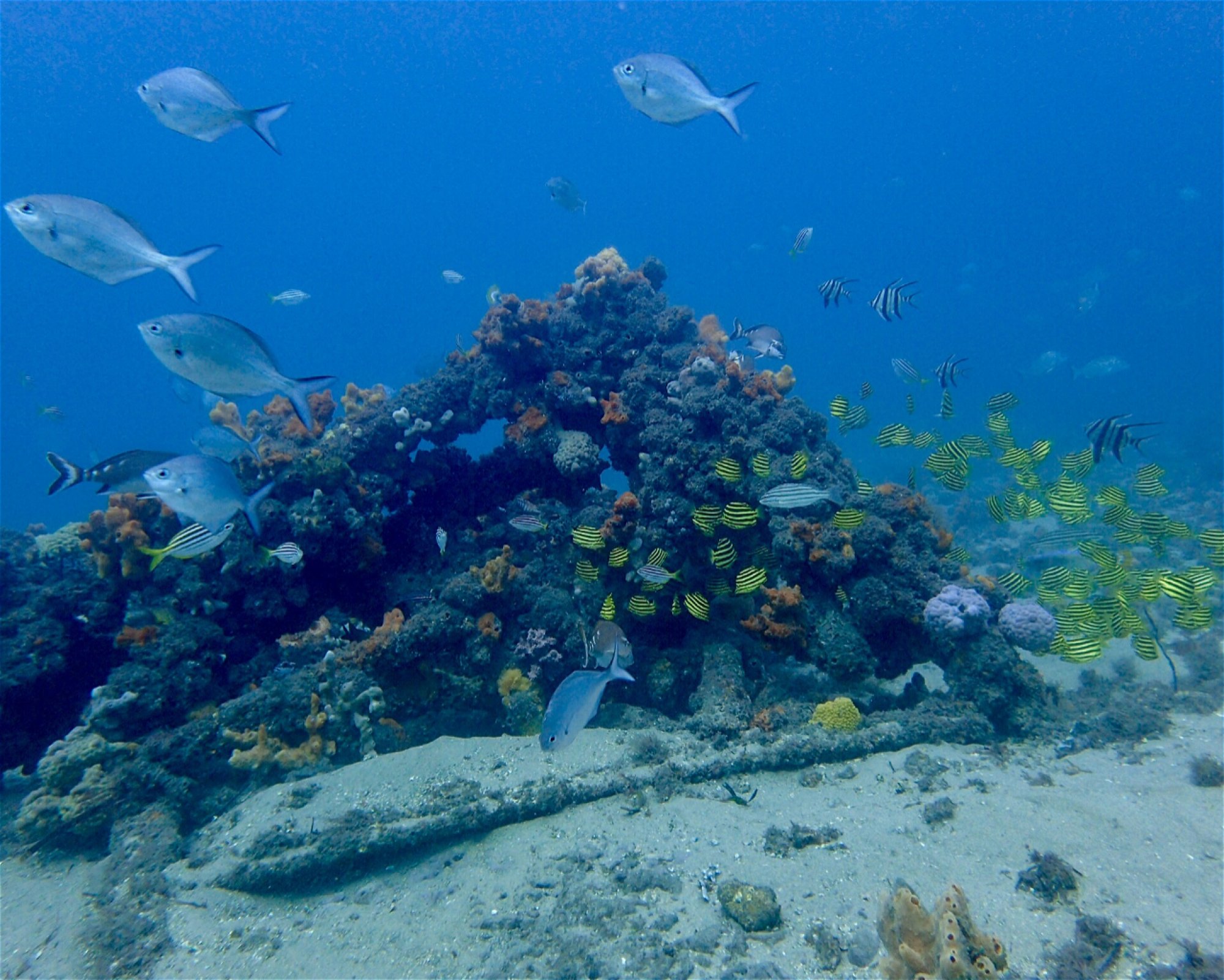 FEET FIRST DIVE PTY LTD, 2315 NELSON BAY