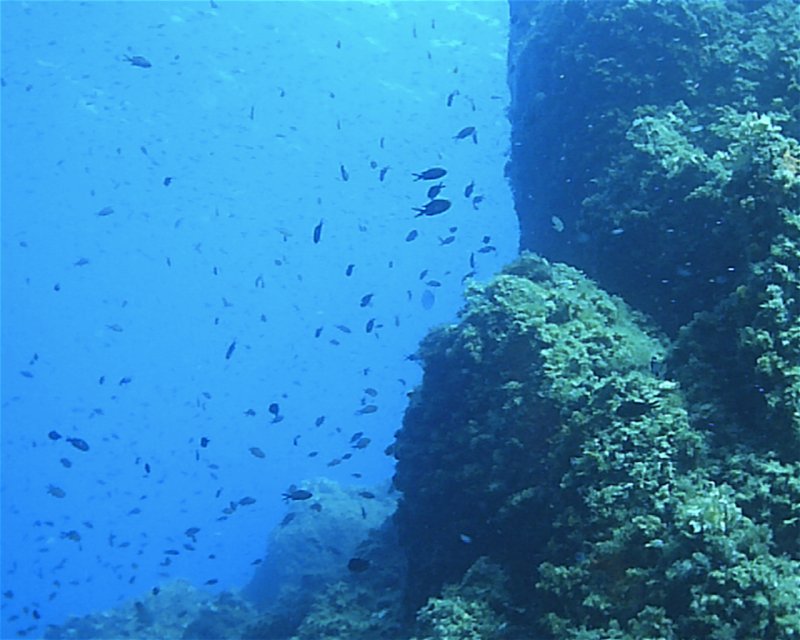 Divesite Image