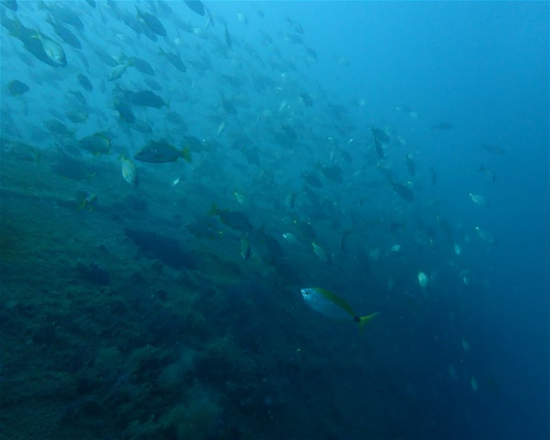 Divesite Image