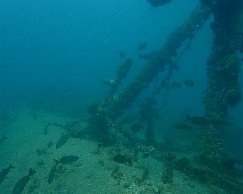 Divesite Image