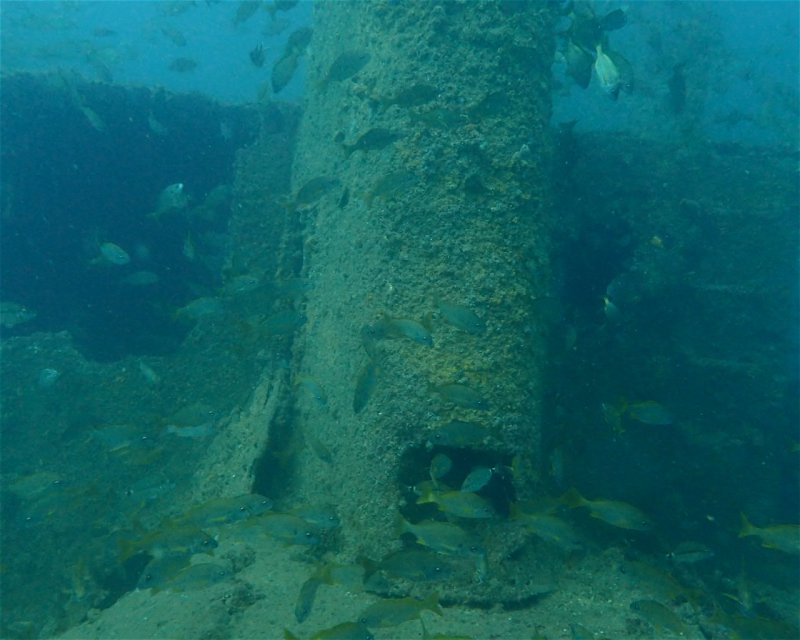 Divesite Image