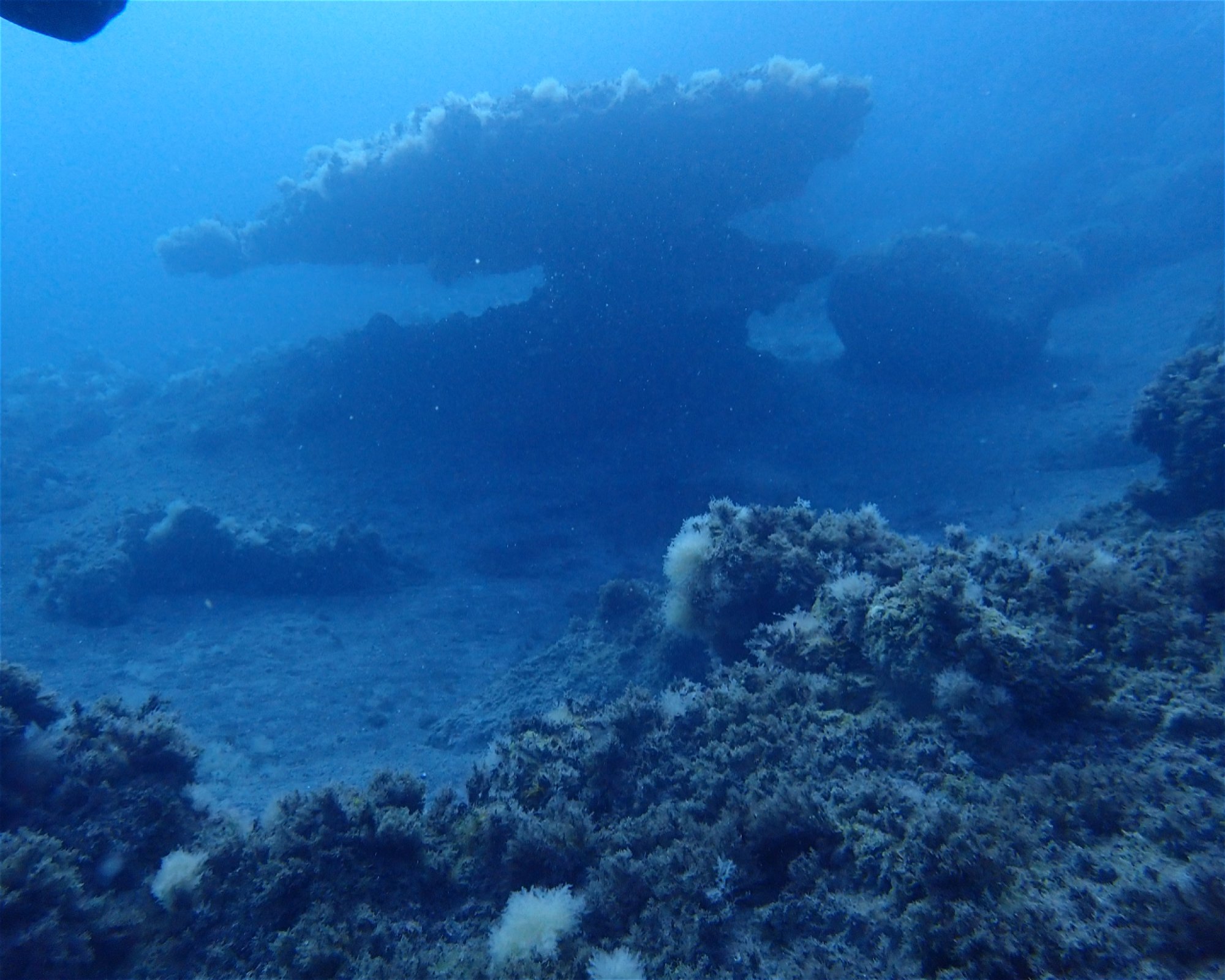 TENERIFE DIVE EXPERIENCE, 38660 SANTA CRUZ DE TENERIFE