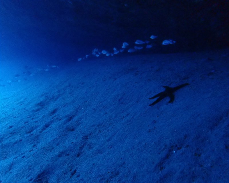 Divesite Image