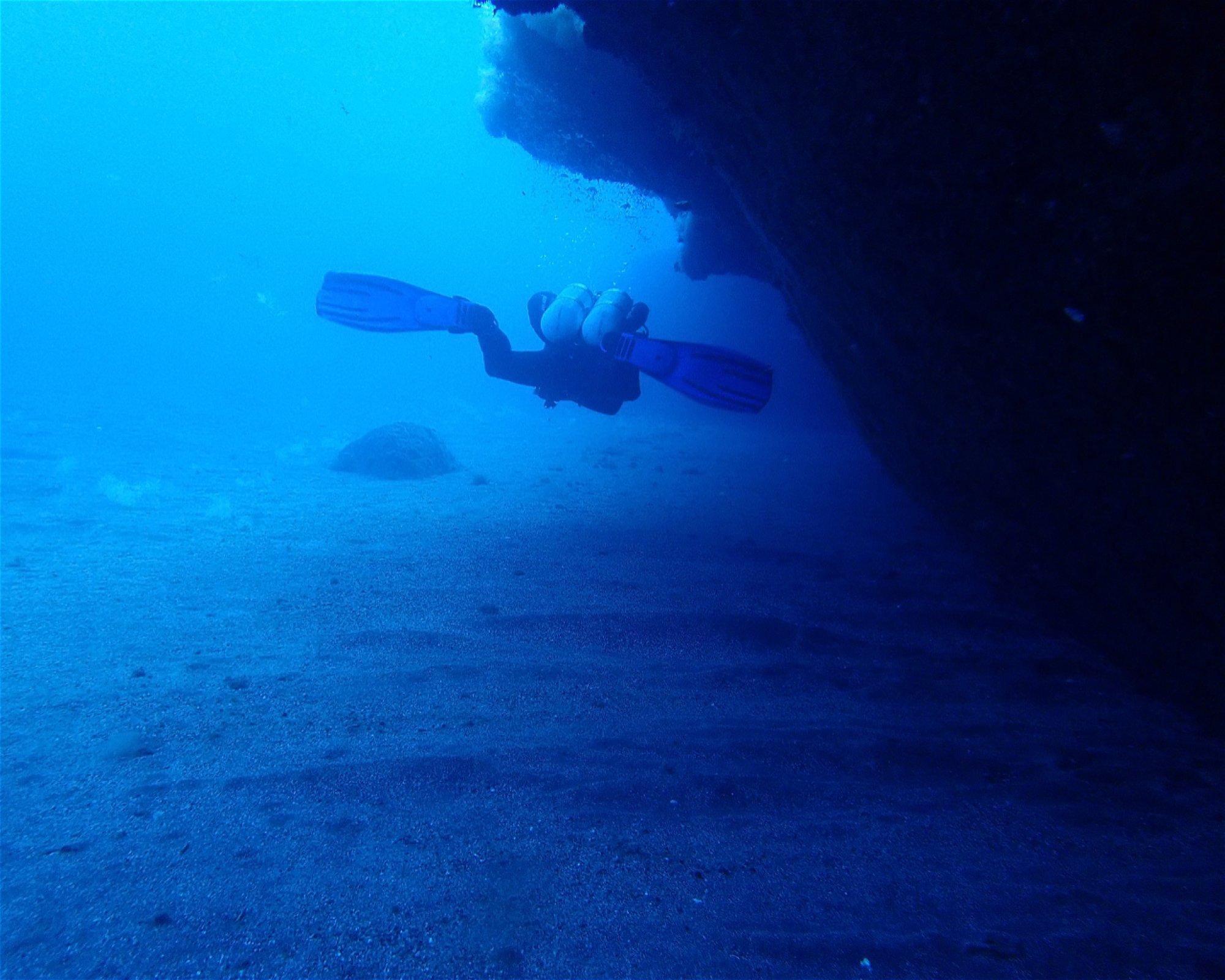 TENERIFE DIVE EXPERIENCE, 38660 SANTA CRUZ DE TENERIFE