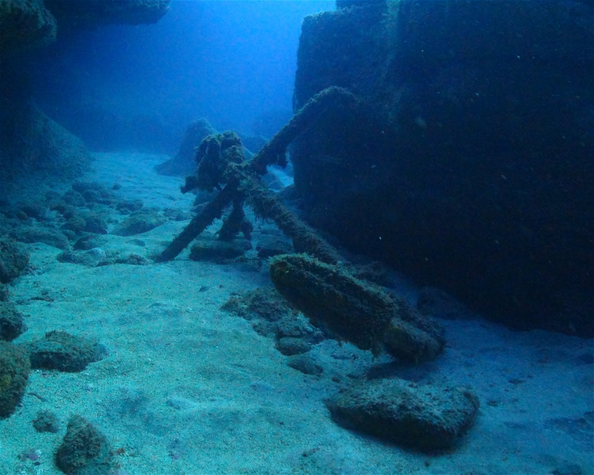 Blue Bottom Diving, 38660 Adeje