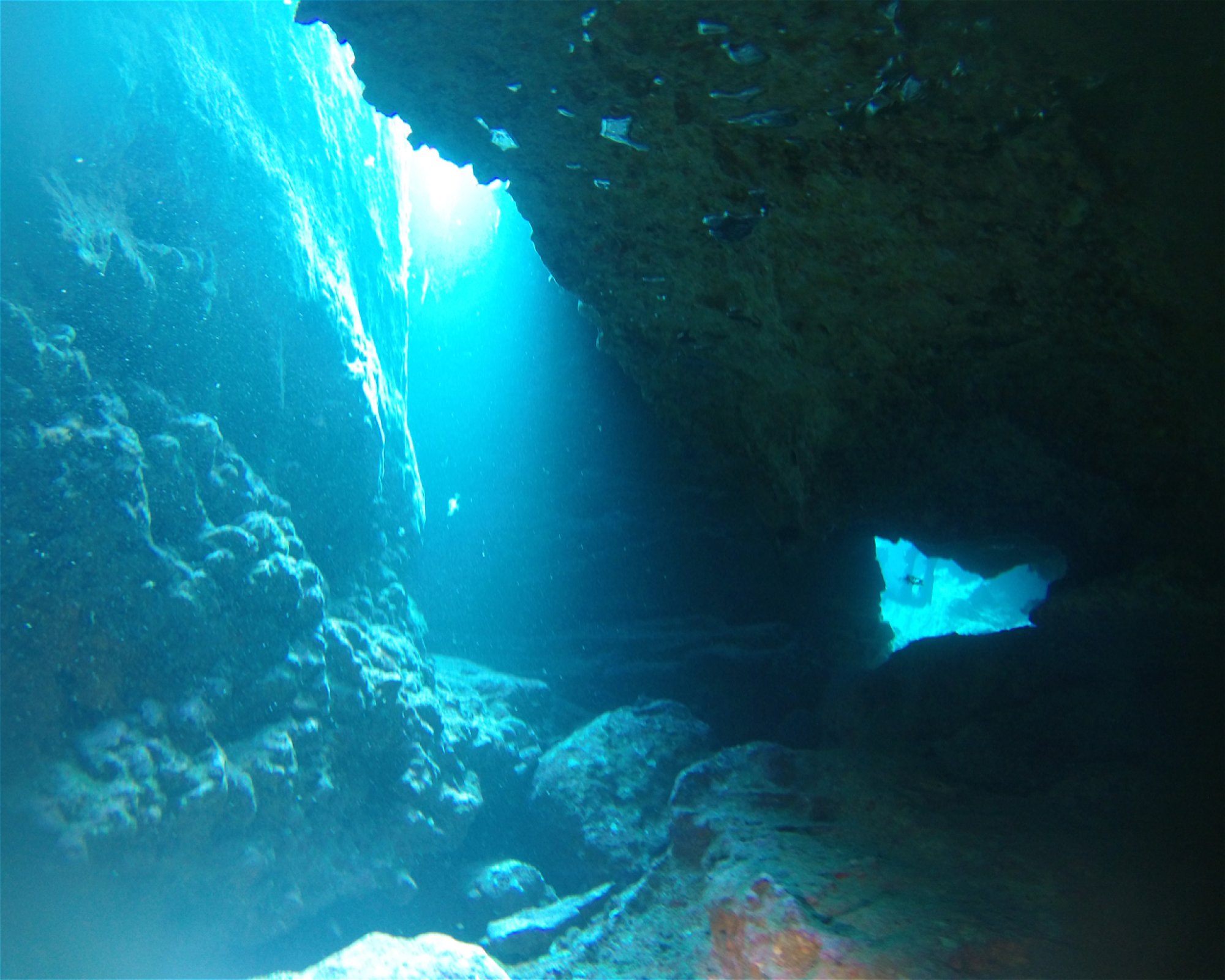 TENERIFE DIVE EXPERIENCE, 38660 SANTA CRUZ DE TENERIFE
