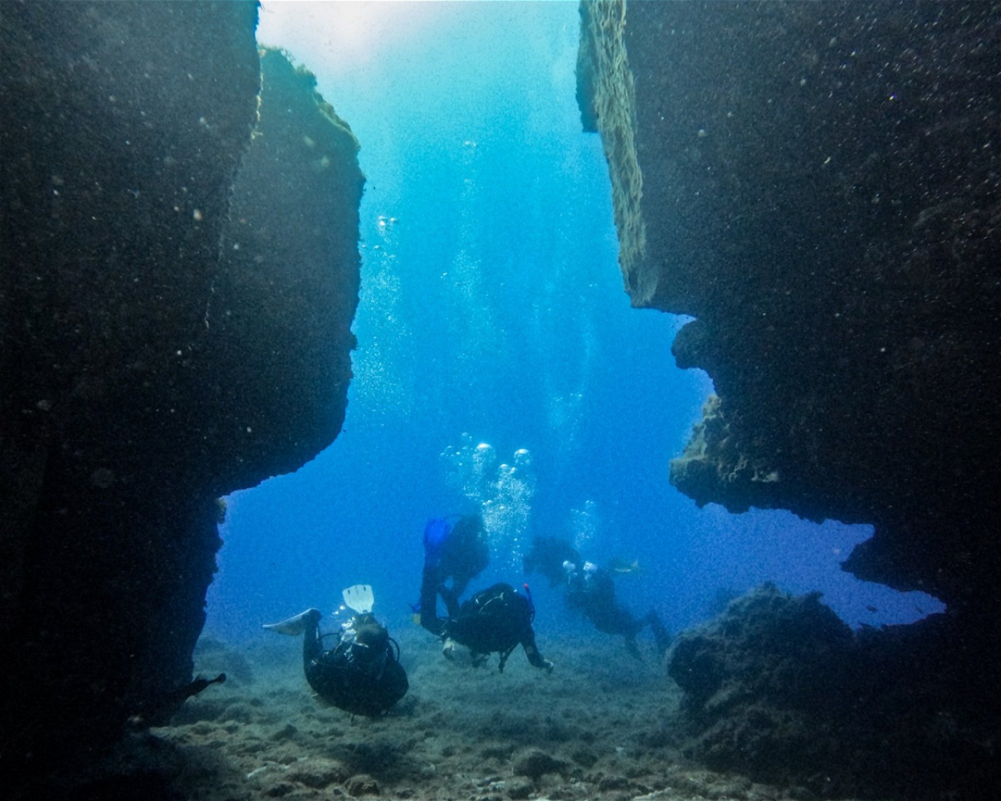 TENERIFE DIVING ACADEMY, 38588 Abades
