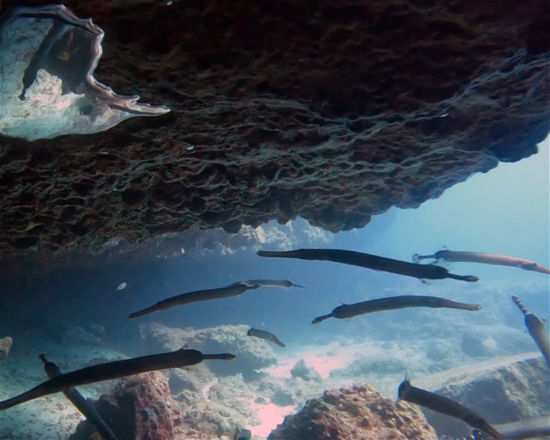 Divesite Image