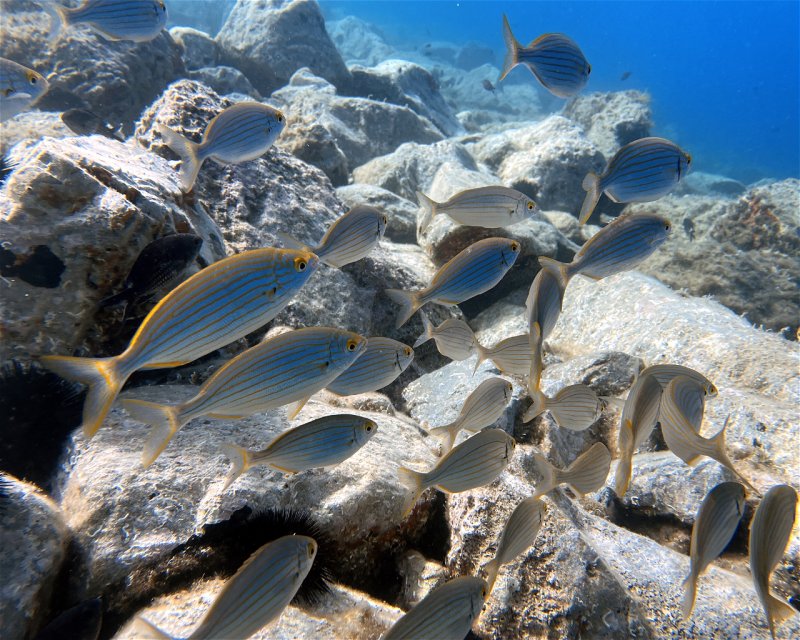 Divesite Image