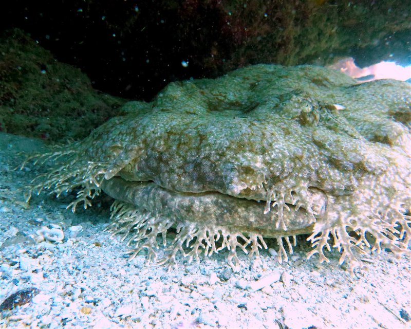 Divesite Image