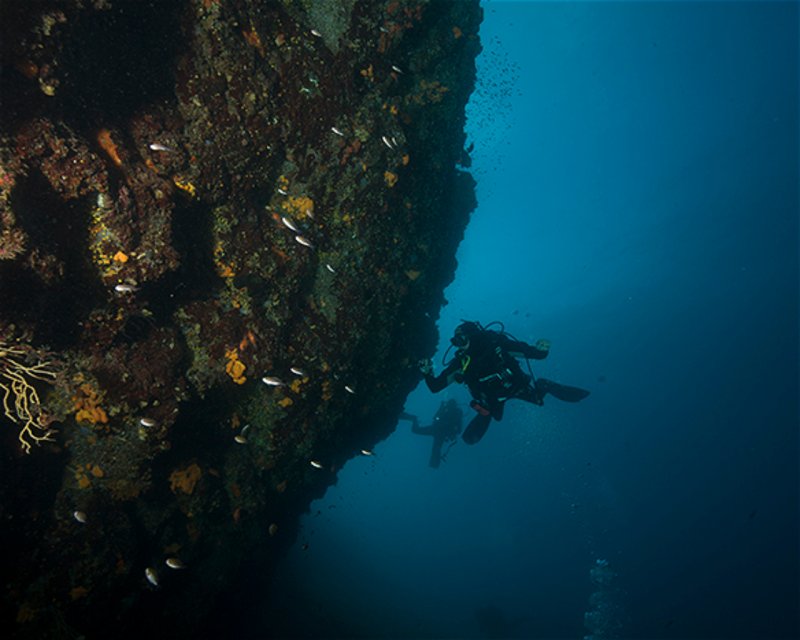Divesite Image