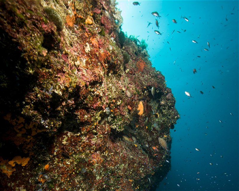Divesite Image
