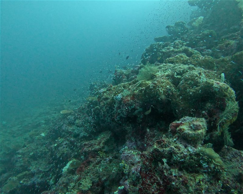 Divesite Image