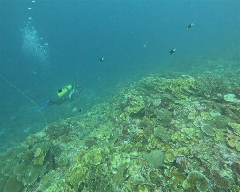 Divesite Image
