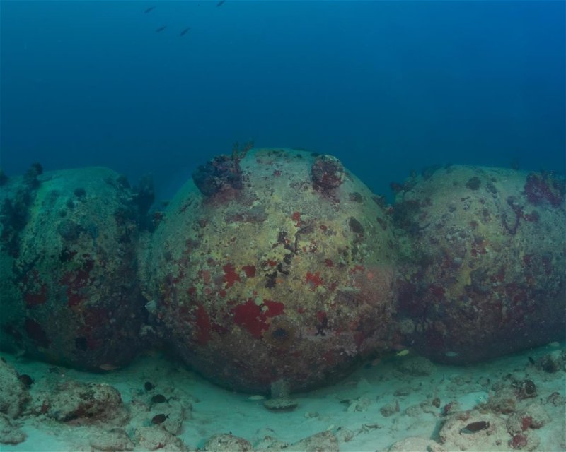 Divesite Image