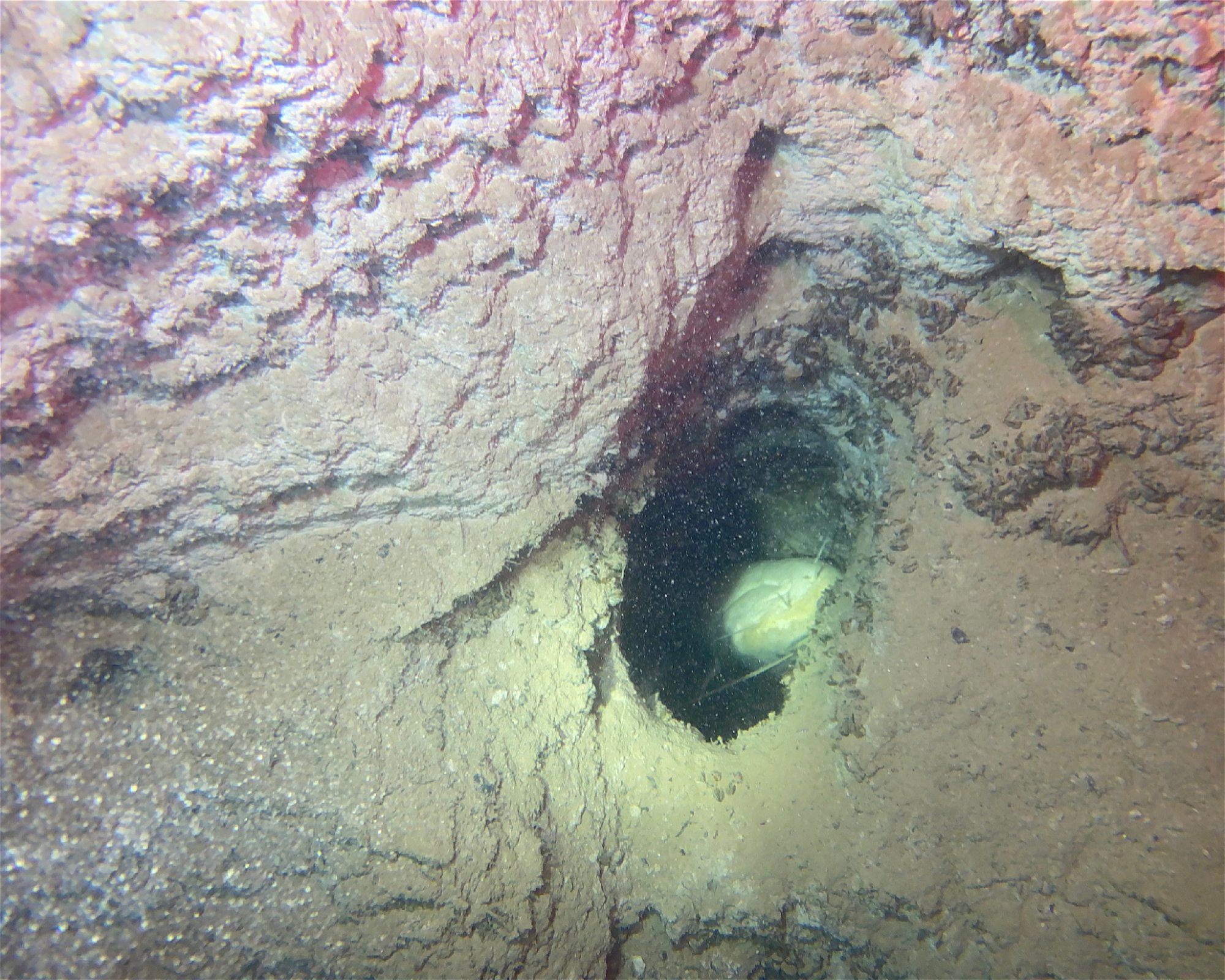 About Diving, 2560 Nidau