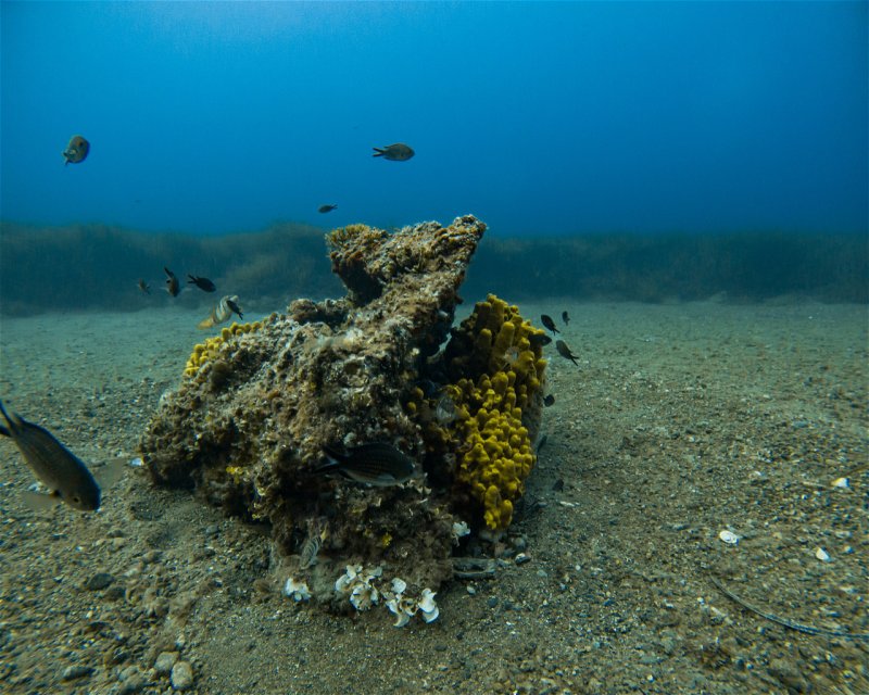 Divesite Image