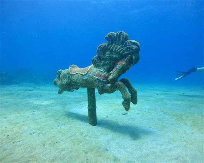 Divesite Image