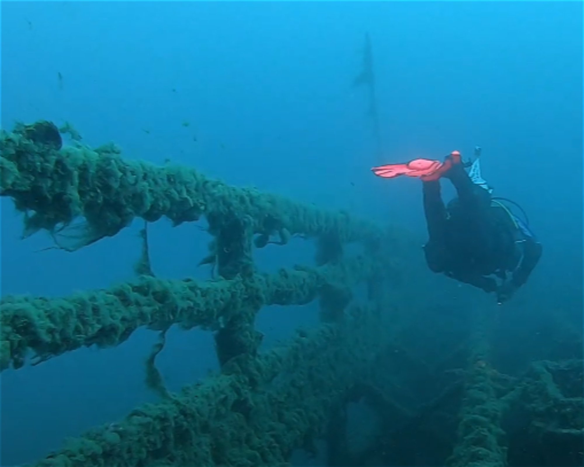 MASSUB DIVING CENTER - PORTOFINO, 16033 LAVAGNA