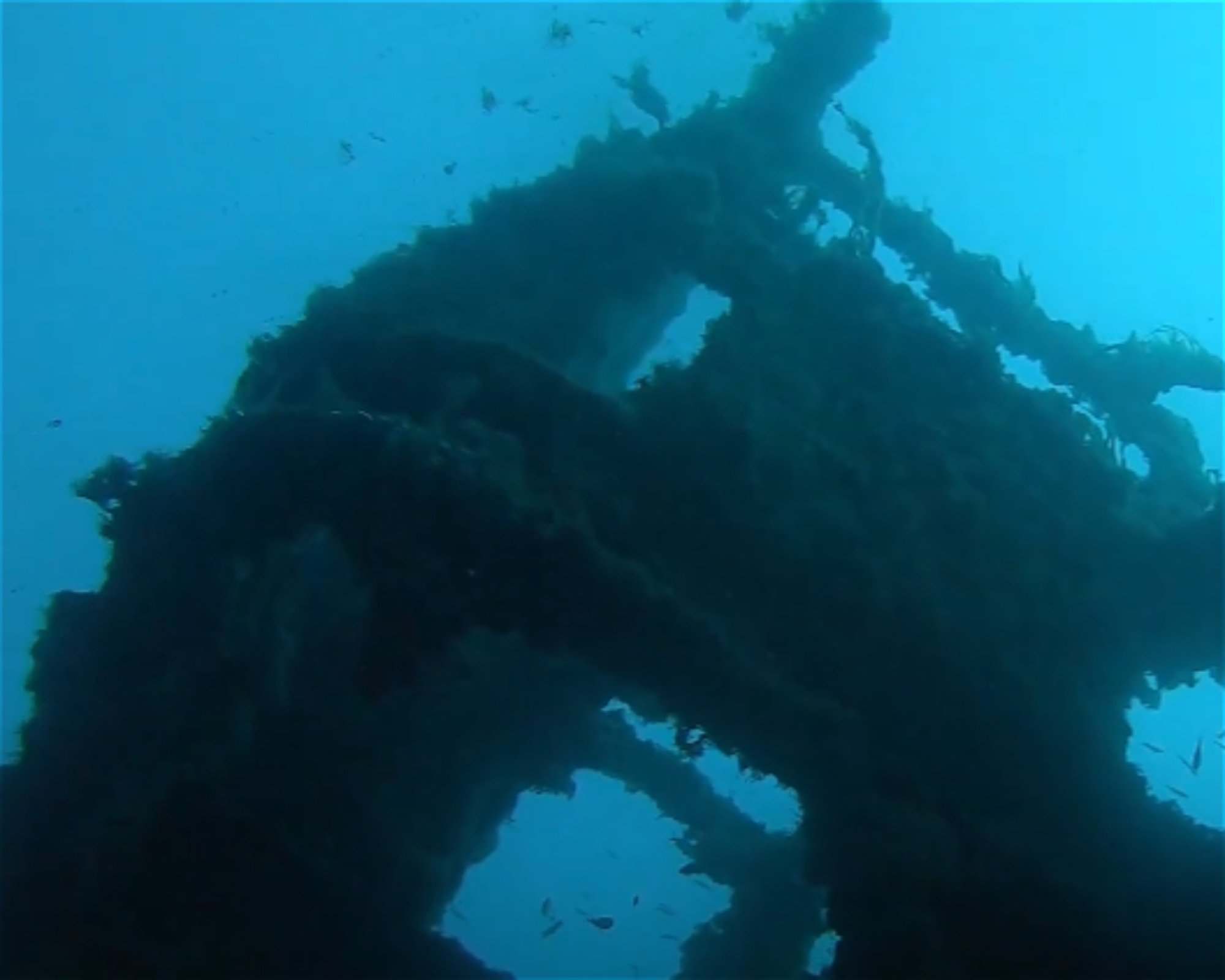 MASSUB DIVING CENTER - PORTOFINO, 16033 LAVAGNA